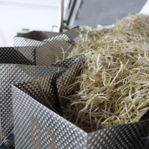 Salad Weighing and Packing Machine