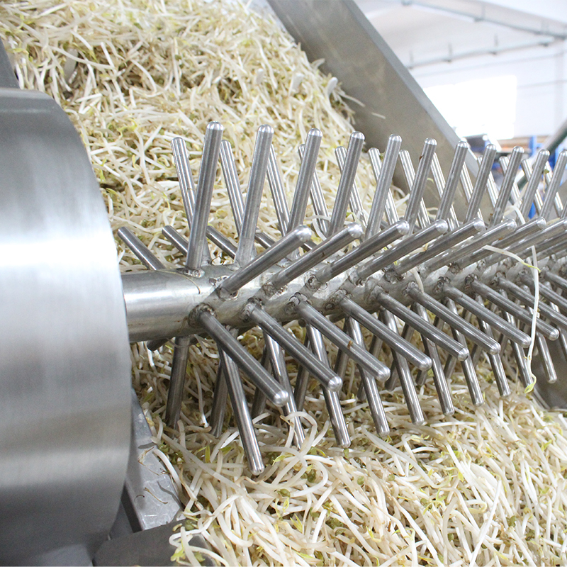 Salad Weighing and Packing Machine