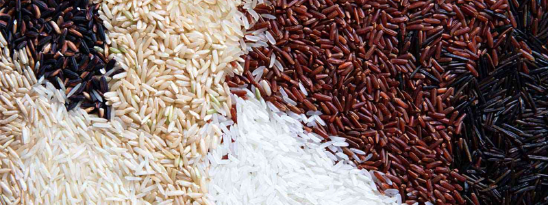 Best Rice Packaging Machines for Organic Rice Producers 2